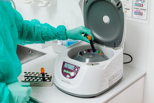 lab